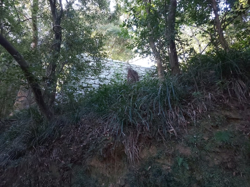 f:id:harapon:20181111081133j:plain