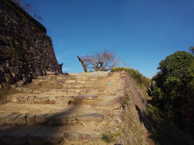f:id:harapon:20181111084849j:plain