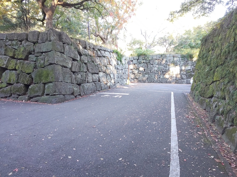 f:id:harapon:20181115144745j:plain