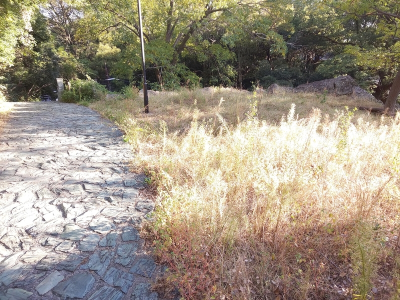 f:id:harapon:20181115145953j:plain