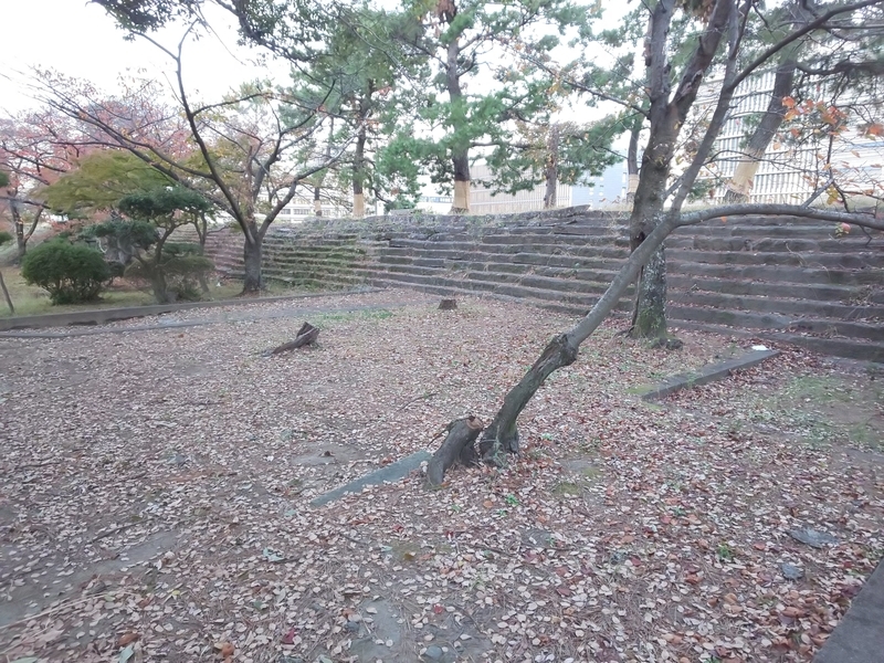 f:id:harapon:20181115165012j:plain