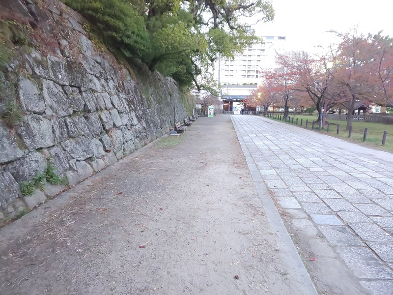 f:id:harapon:20181115165311j:plain