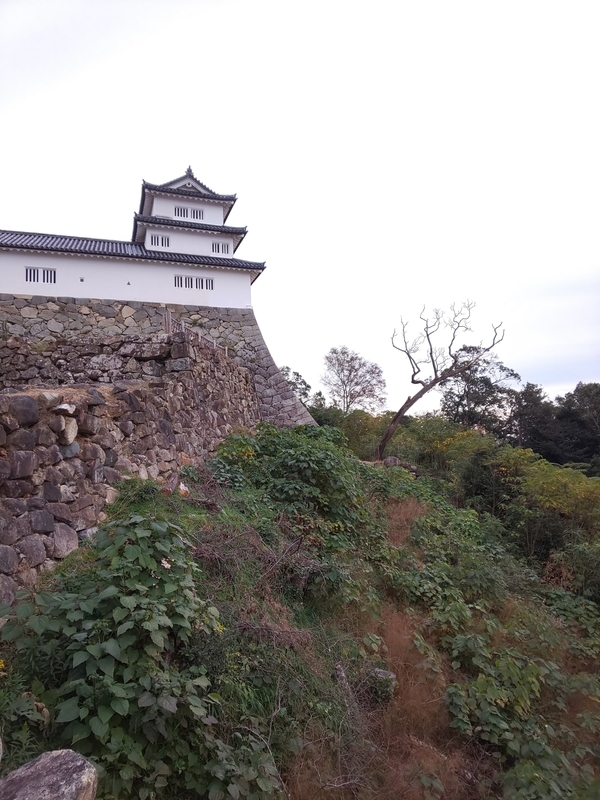 f:id:harapon:20181118152204j:plain