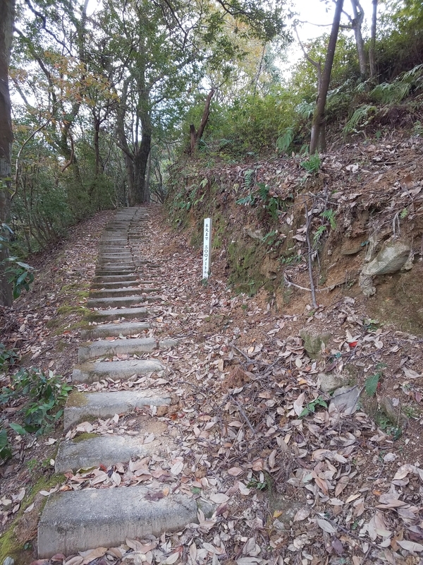 f:id:harapon:20181123142544j:plain