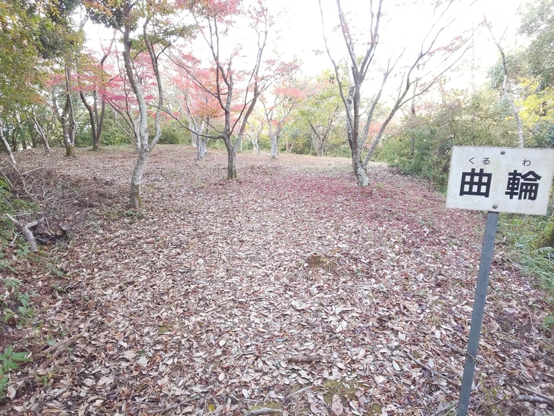 f:id:harapon:20181123142832j:plain
