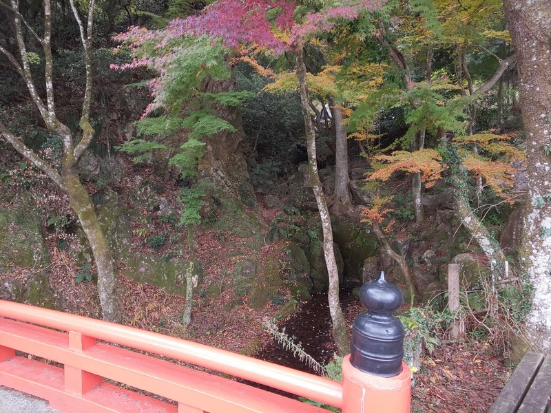 f:id:harapon:20181125101031j:plain