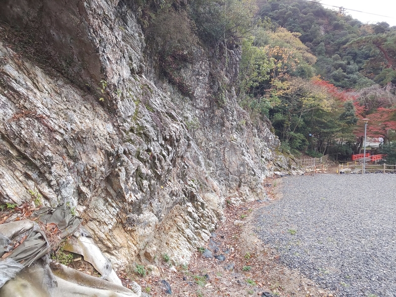 f:id:harapon:20181125101945j:plain