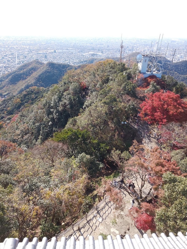 f:id:harapon:20181125111644j:plain