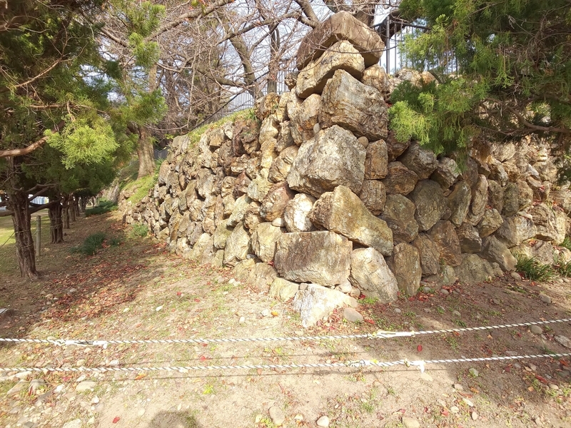 f:id:harapon:20181125130409j:plain