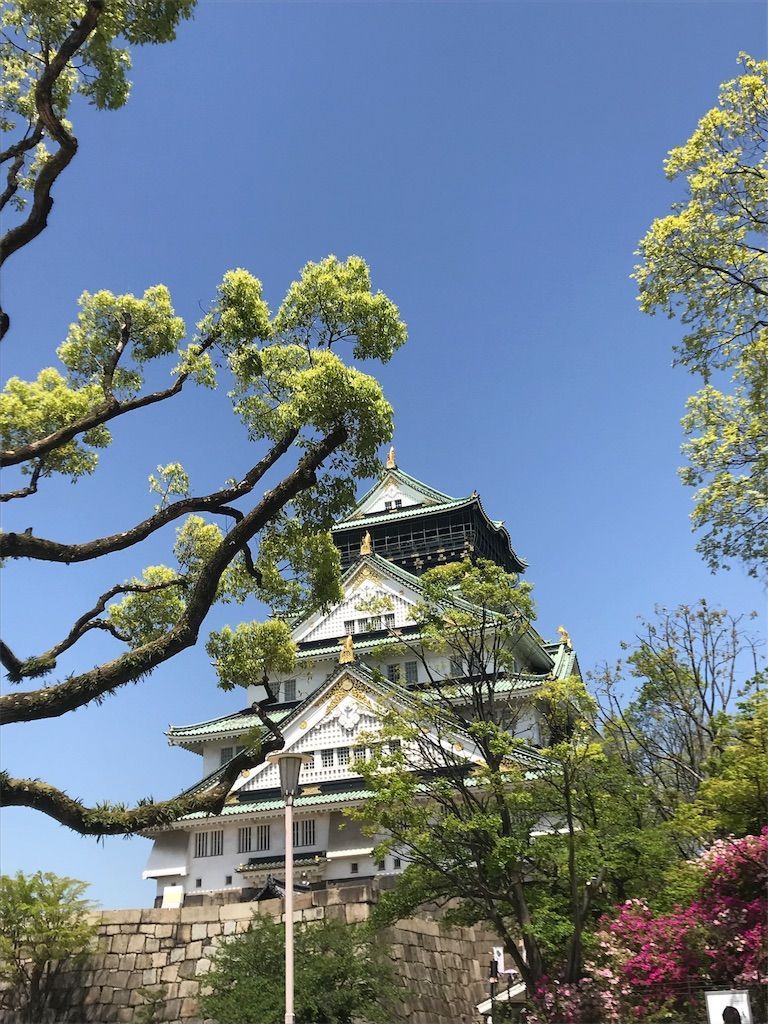 f:id:harasuke7:20180424100626j:image f:id:harasuke7:20180424100626j:image
