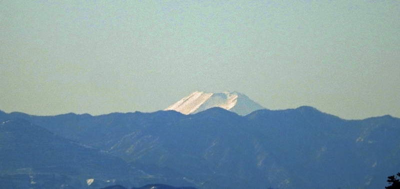 イメージ 2