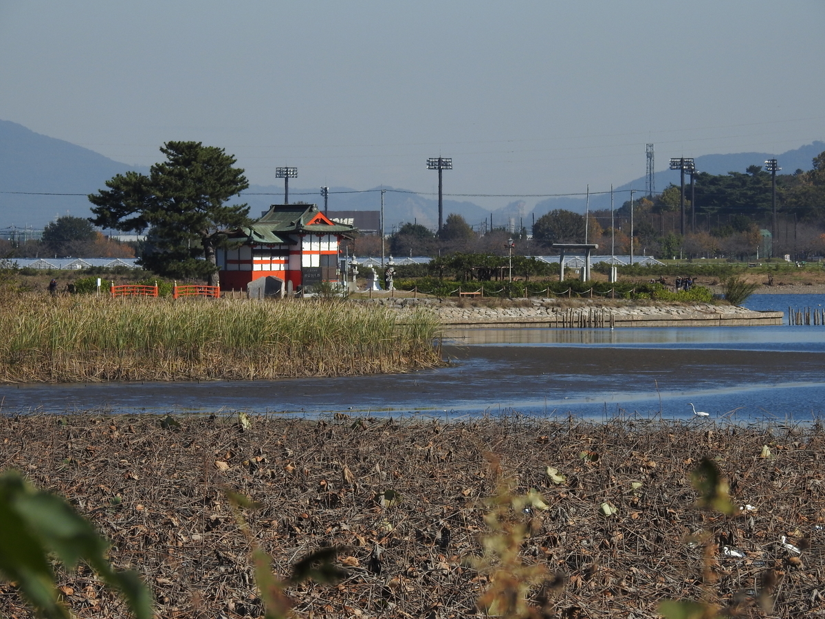 f:id:haratomi:20191110184945j:plain