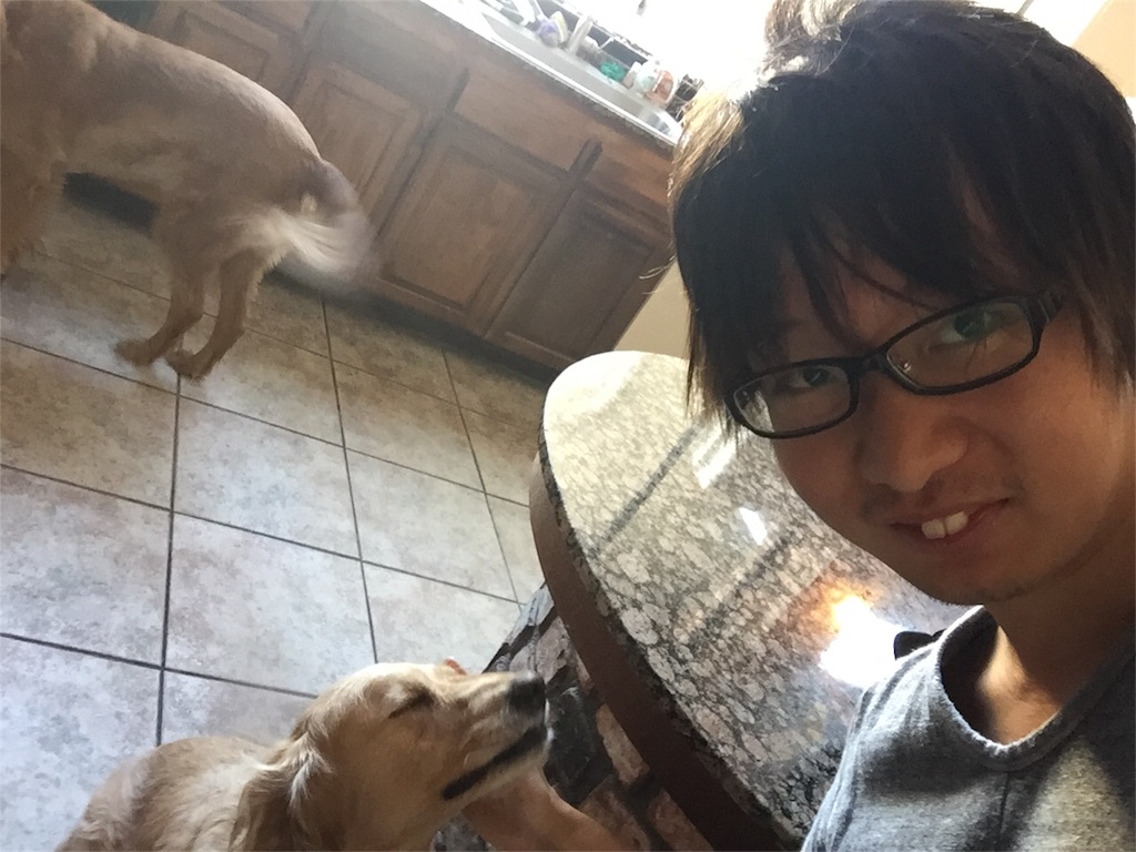 f:id:harayou:20170312053253j:image f:id:harayou:20170312053253j:image