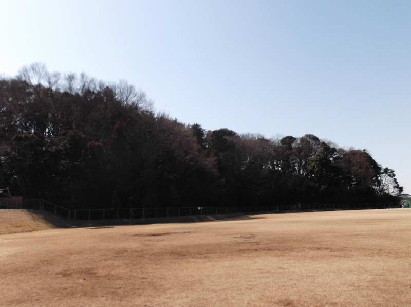 f:id:harayuji88:20140308124819j:image:w360:left