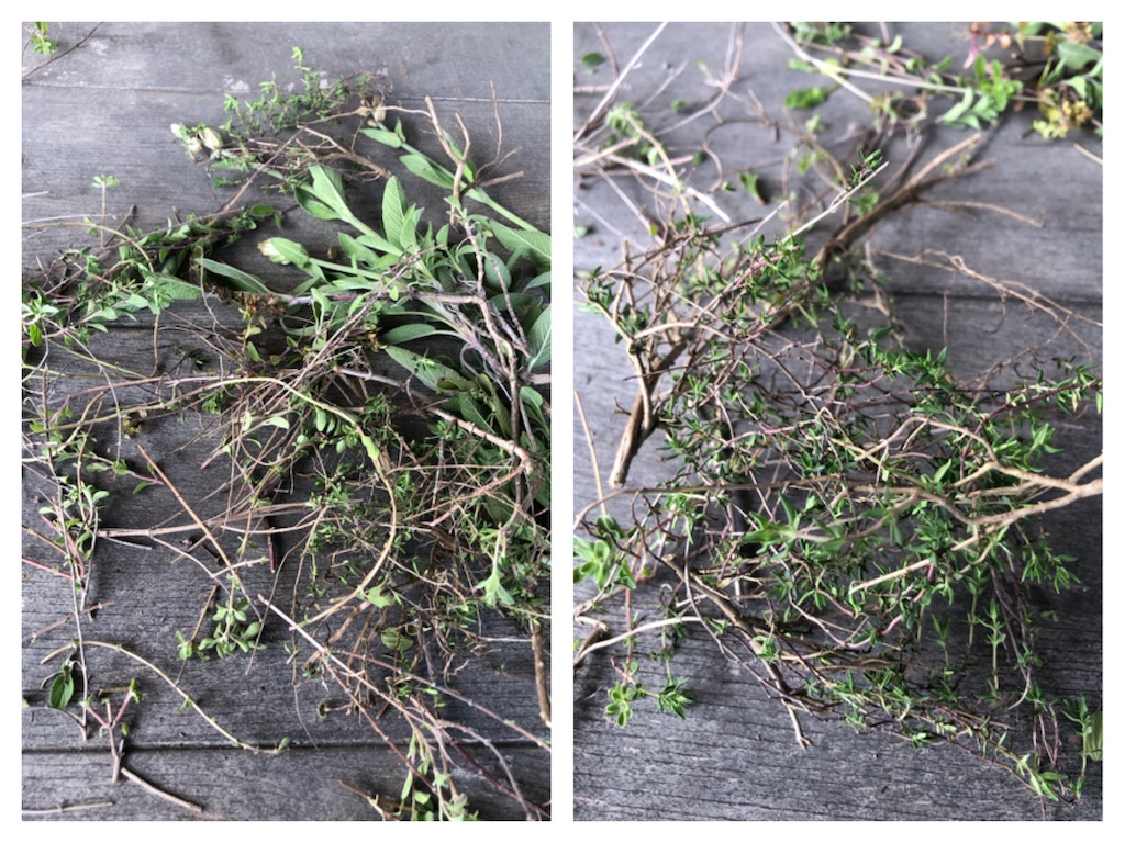 f:id:harbspicelove:20190510123729j:image