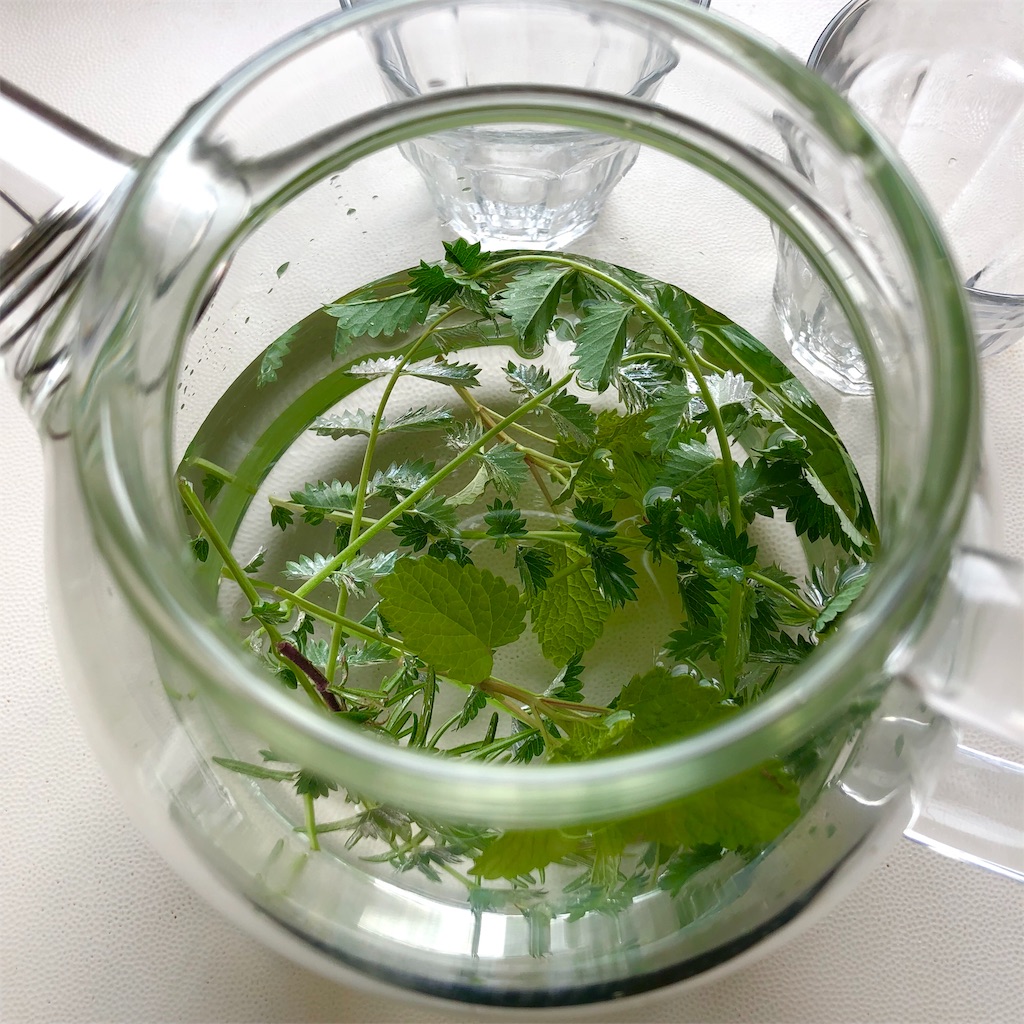 f:id:harbspicelove:20190510134233j:image