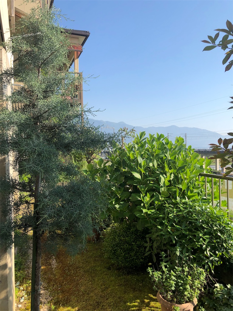 f:id:harbspicelove:20190525073533j:image