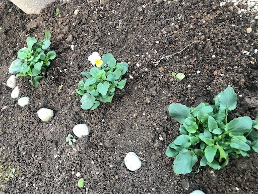 f:id:harbspicelove:20200201162533j:image