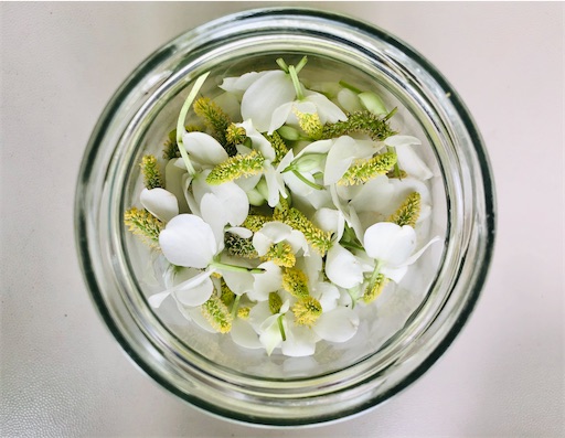 f:id:harbspicelove:20210614200338j:image f:id:harbspicelove:20210614200338j:image