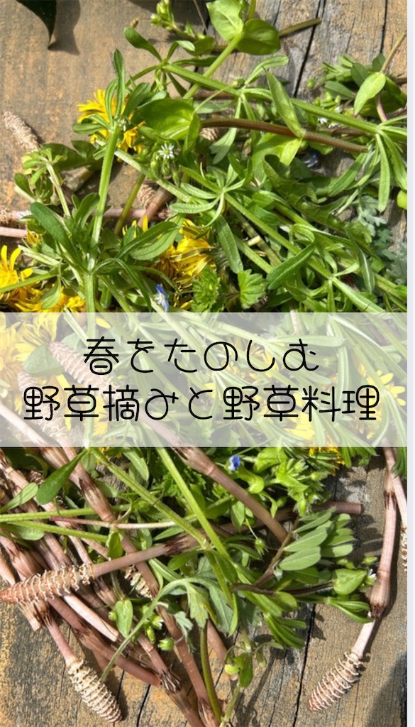 f:id:harbspicelove:20250407182111j:image