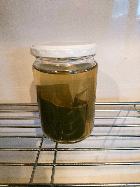 f:id:harchel:20190210091007j:image