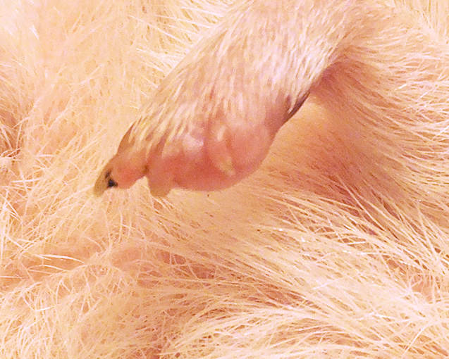 f:id:hard-hari:20180902223023j:plain f:id:hard-hari:20180902223023j:plain