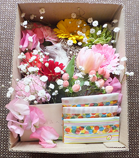 f:id:hard-hari:20190322214106j:plain f:id:hard-hari:20190322214106j:plain