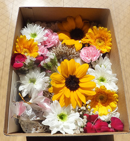 f:id:hard-hari:20190630185853j:plain f:id:hard-hari:20190630185853j:plain