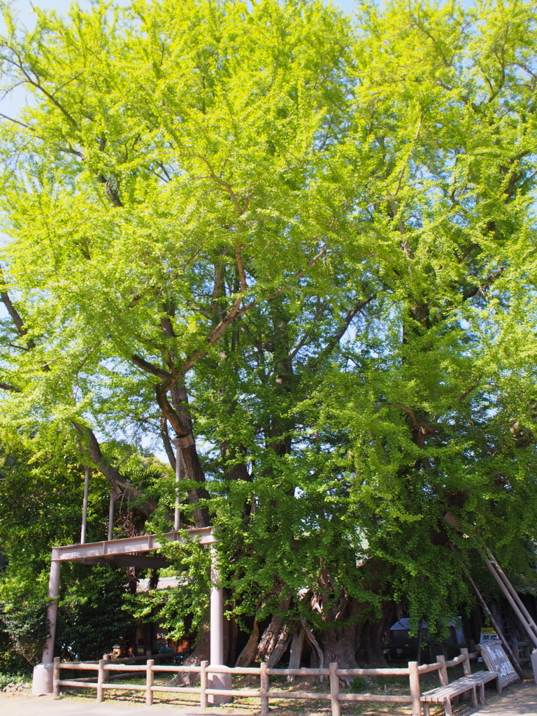 f:id:hard_keme:20180510105757j:plain