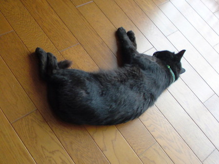 f:id:hardgore:20080703095332j:image