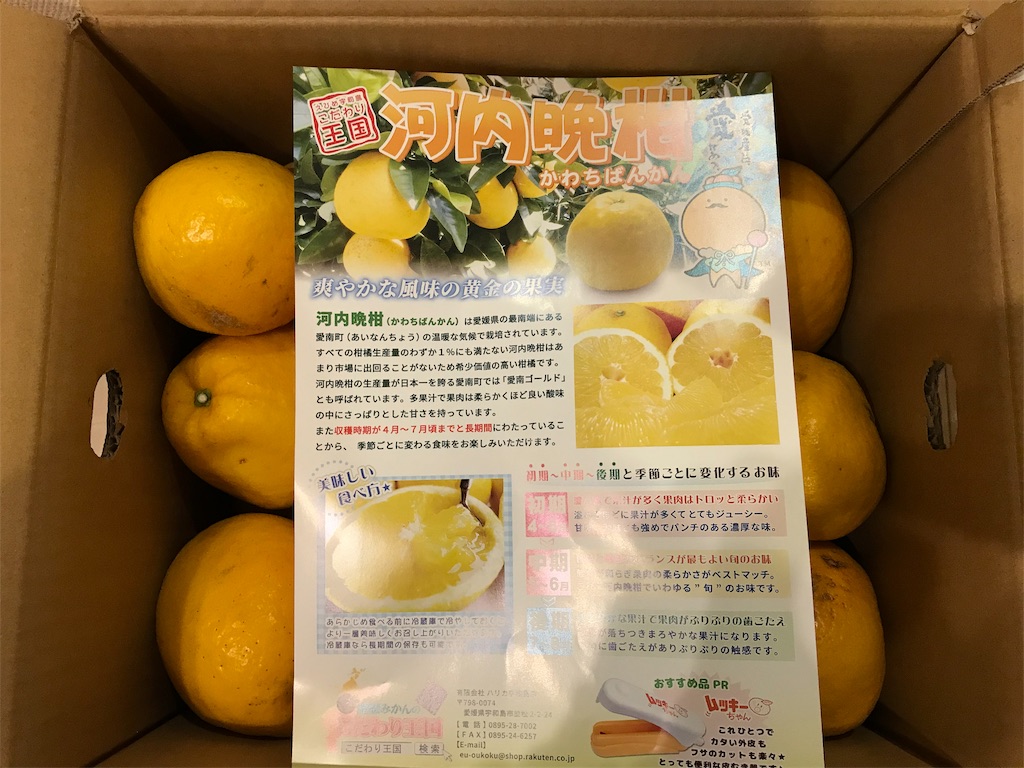 f:id:hardshopper:20190518015439j:image