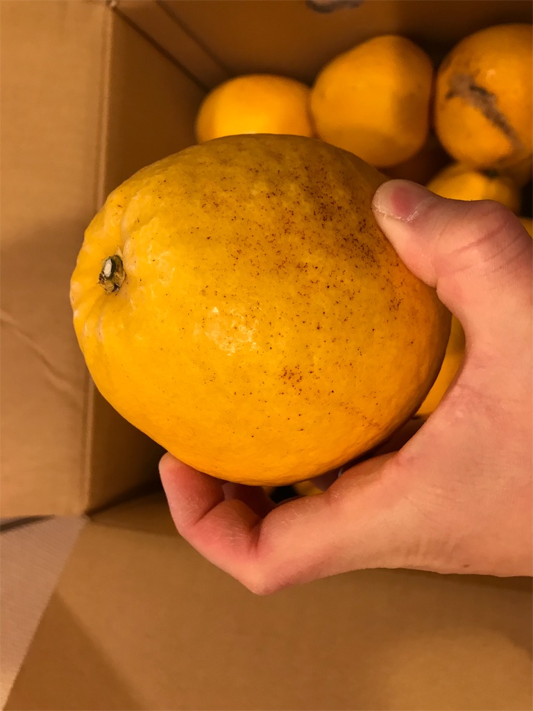 f:id:hardshopper:20190518015442j:image