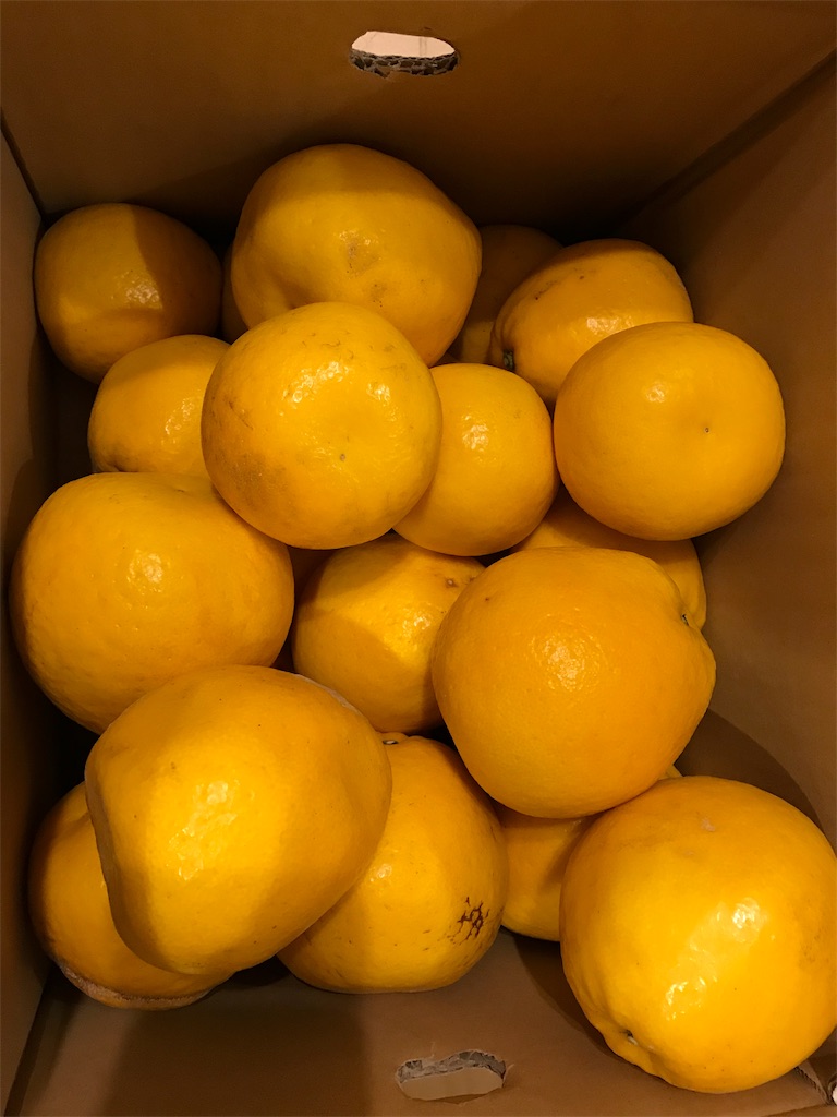 f:id:hardshopper:20190518015449j:image