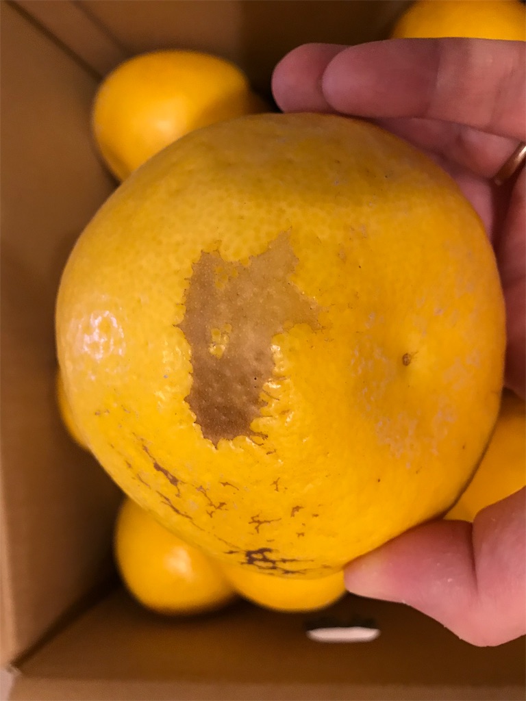 f:id:hardshopper:20190518015456j:image