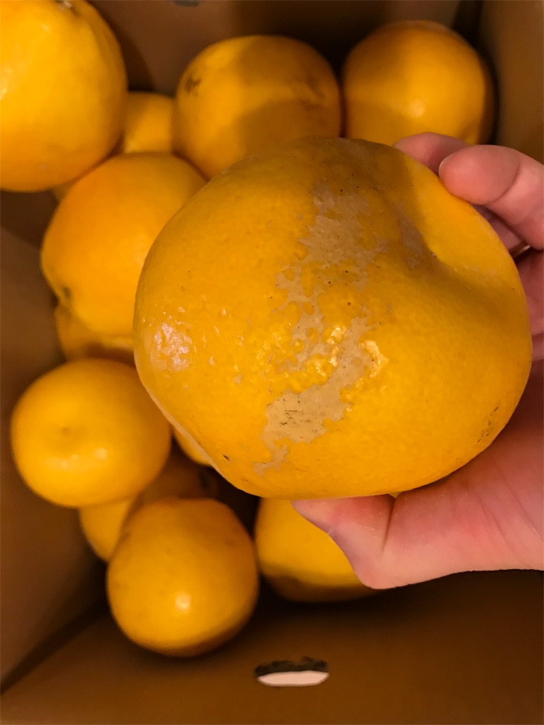 f:id:hardshopper:20190518015500j:image