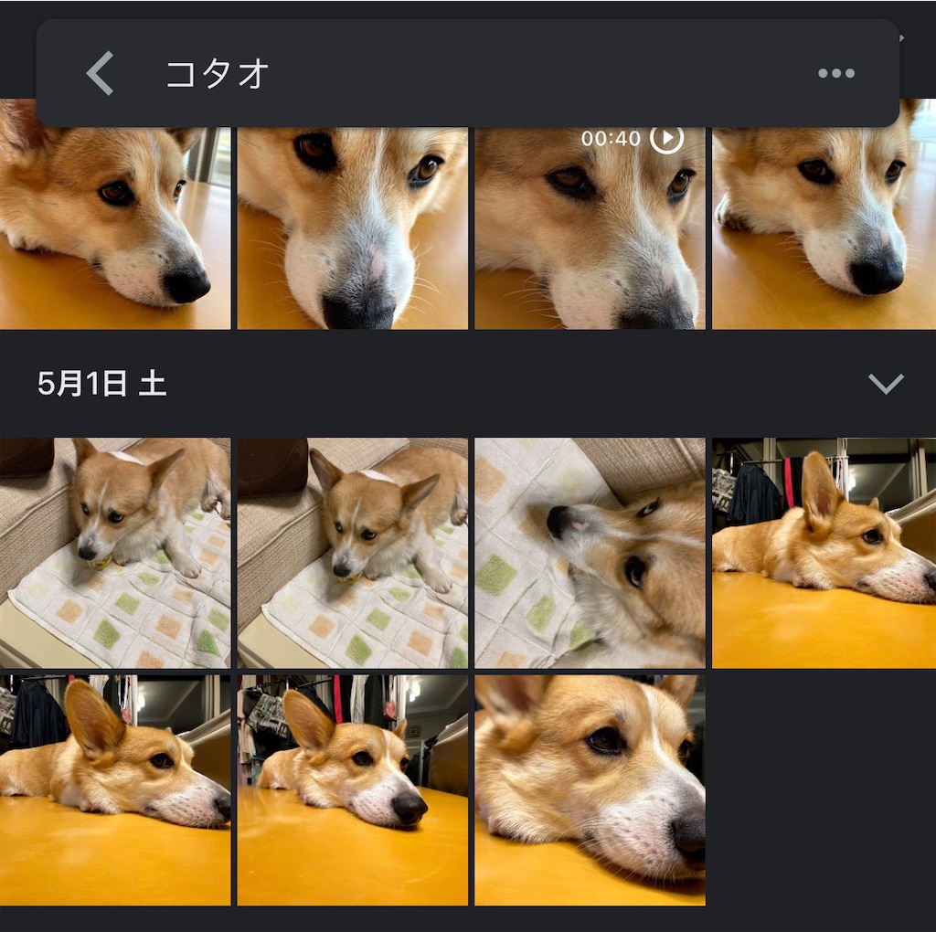 f:id:hardshopper:20210531092016j:image