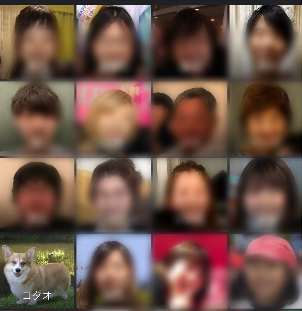 f:id:hardshopper:20210531092431j:image