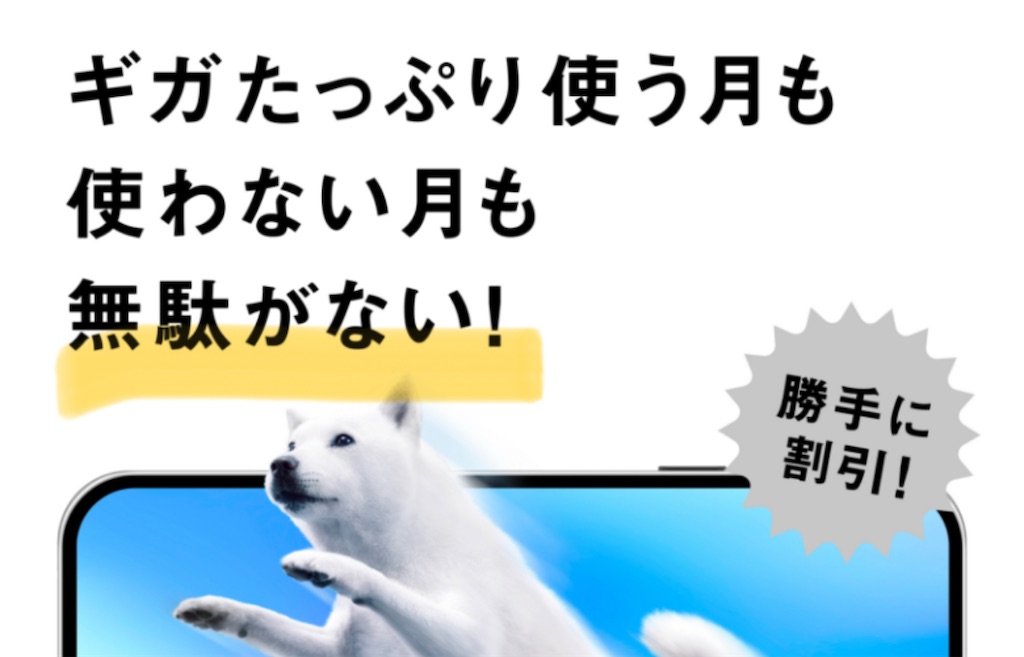 f:id:hardshopper:20250121035913j:image