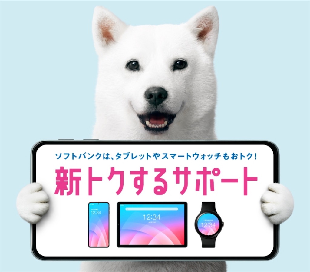 f:id:hardshopper:20250125024652j:image