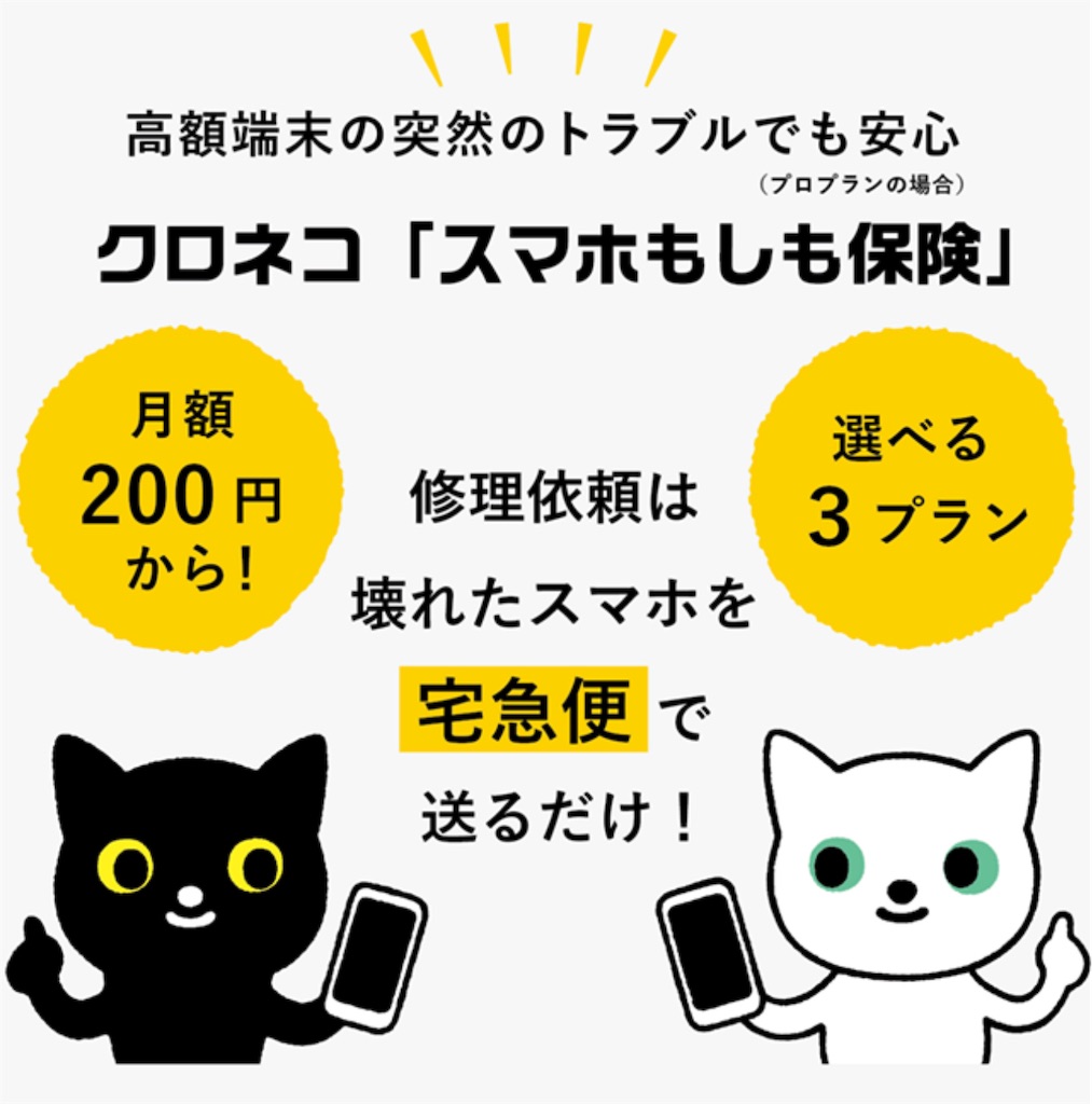 f:id:hardshopper:20250204033357j:image