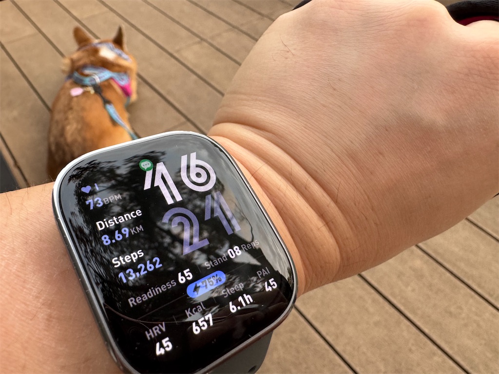 f:id:hardshopper:20251108162210j:image