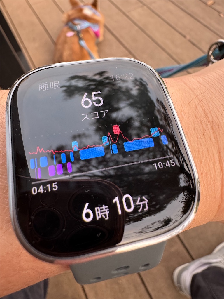 f:id:hardshopper:20251109010751j:image