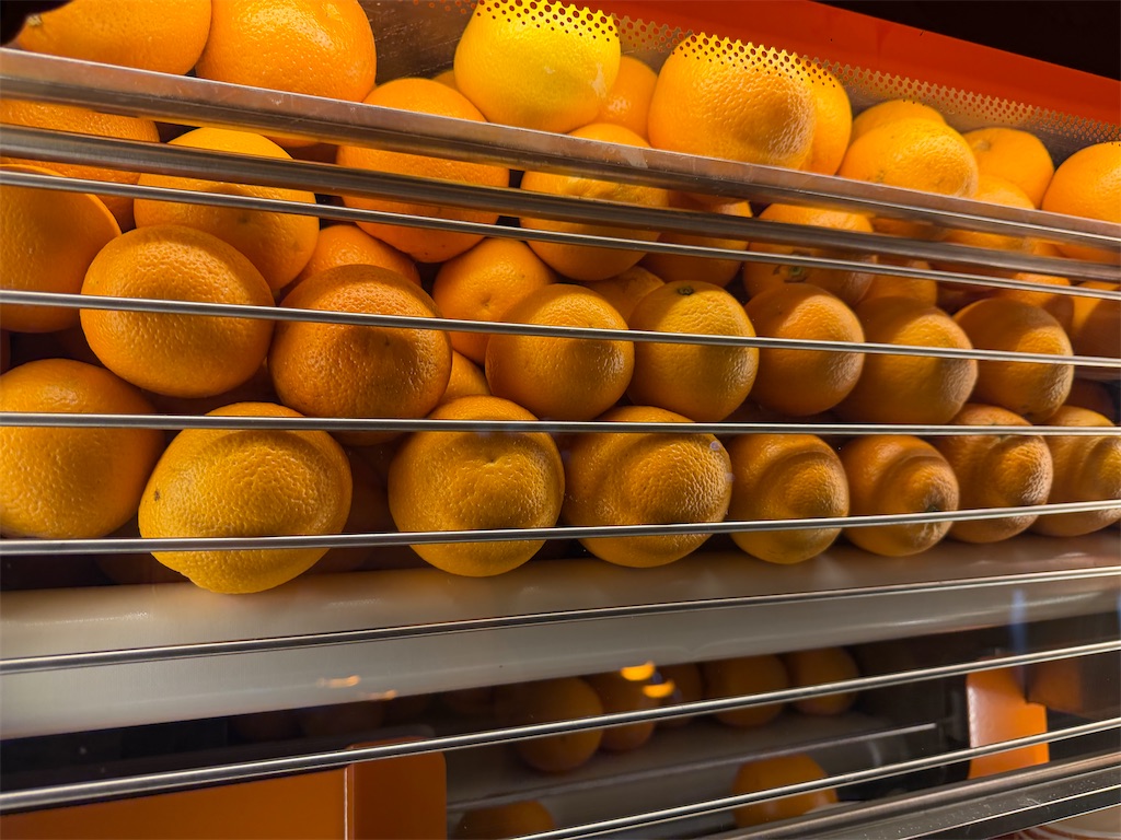 f:id:hardshopper:20251221025025j:image f:id:hardshopper:20251221025025j:image