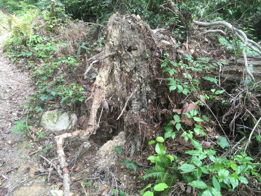 f:id:hare-tetsu:20180516230130j:plain f:id:hare-tetsu:20180516230130j:plain