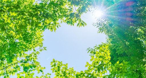 f:id:harebarepapa:20190705022412j:image