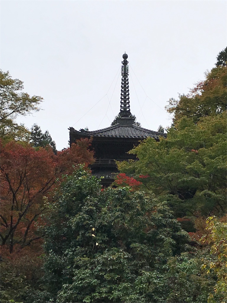 f:id:harehappy:20191109184736j:image