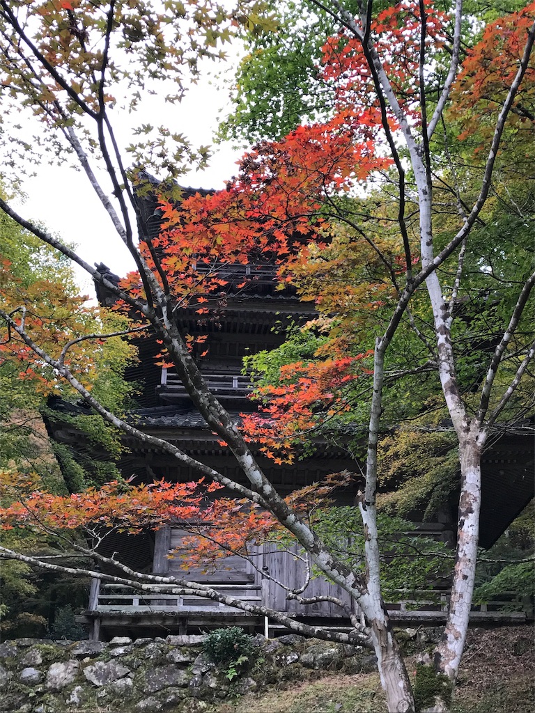 f:id:harehappy:20191109184739j:image