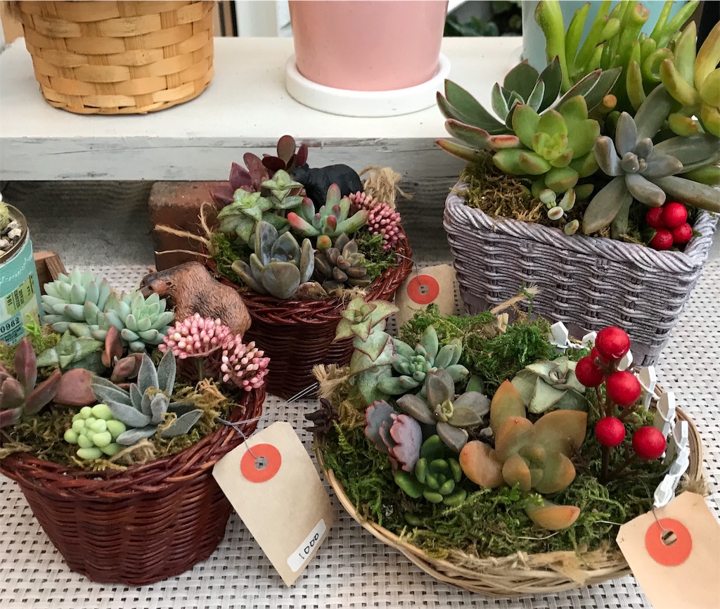 f:id:harehappy:20191109185309j:image