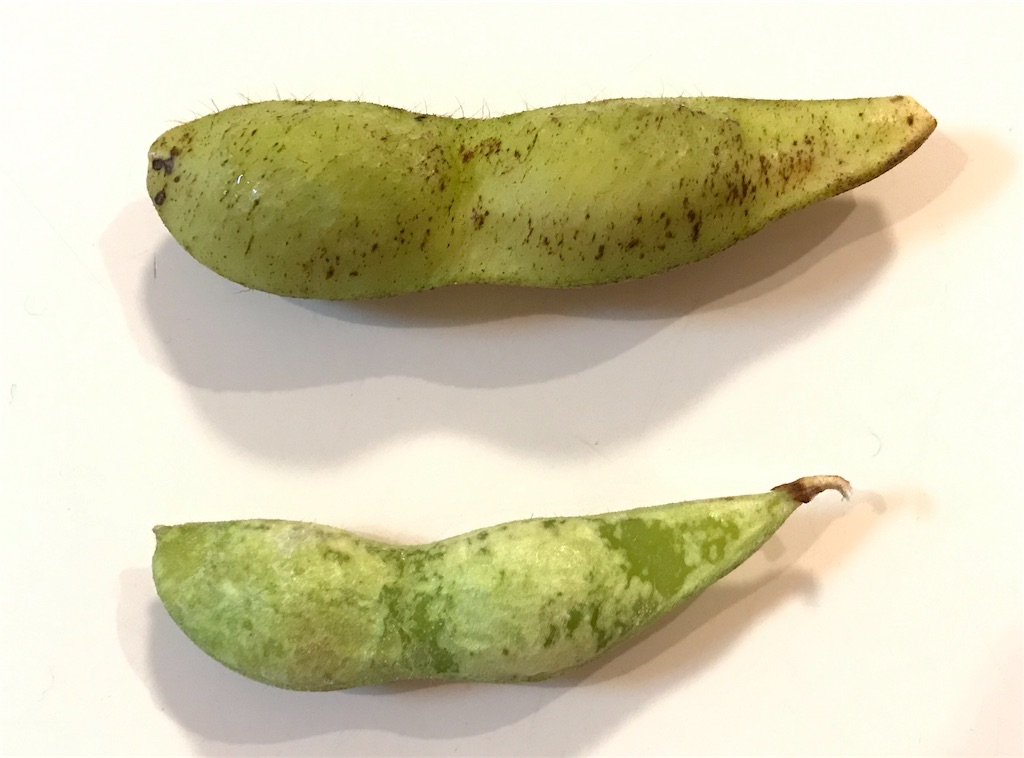 f:id:harehappy:20191110220122j:image