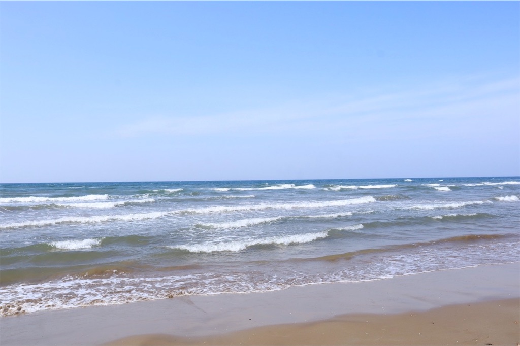 f:id:harehappy:20220326191109j:image f:id:harehappy:20220326191109j:image